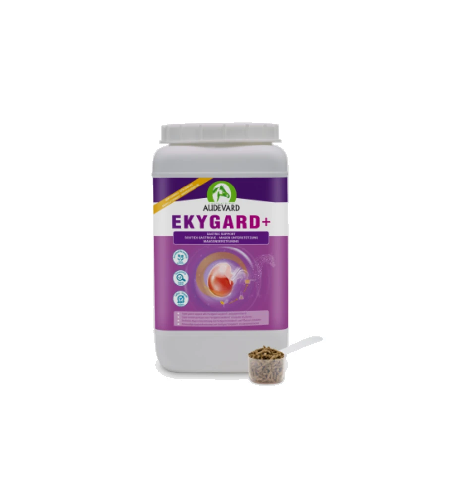 Audevard Ekygard + 2 Audevard Ekygard + - Afbeelding 2