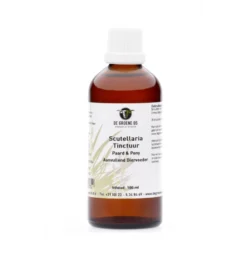De Groene Os Scutellaria Tinctuur - 100 Ml