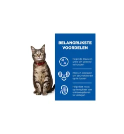 Hill's PD C/D Multicare Urinary Care Stoofpotje Met Kip & Groente - 24 X 82 Gram -Huisdierproducten Winkel hill s pd cd multicare urinary care stoofpotje met kip groente 24 x 82 gram 3