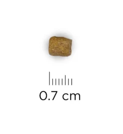 Hill's Prescription Diet L/D Liver Care - 1.5 Kg 6 Hill's Prescription Diet L/D Liver Care - 1.5 Kg -Huisdierproducten Winkel hill s prescription diet ld liver care 15 kg 1