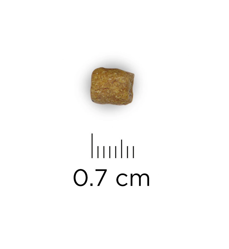 Hill's Prescription Diet L/D Liver Care - 1.5 Kg 3 Hill's Prescription Diet L/D Liver Care - 1.5 Kg - Afbeelding 3