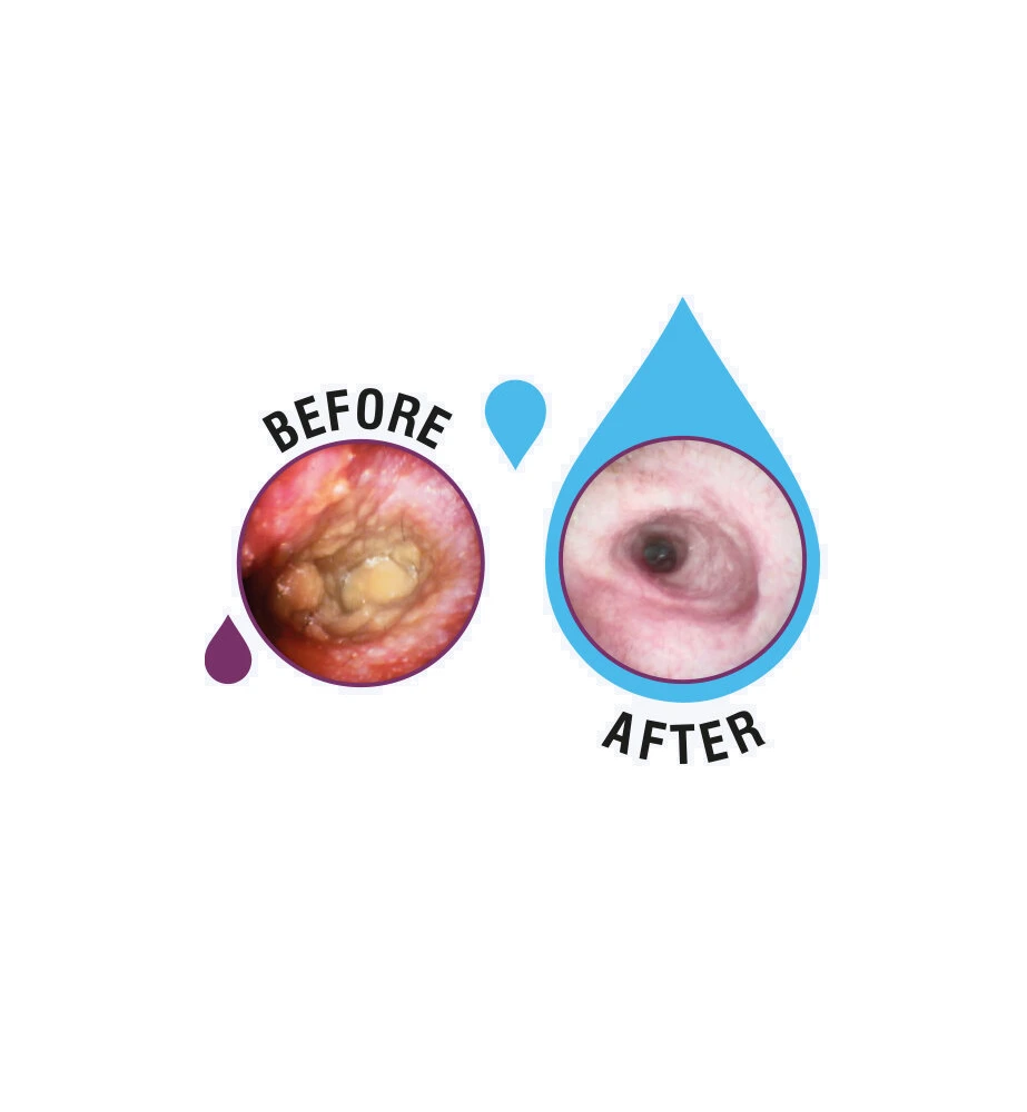 MalaZinc Ear Drops - 120 Ml 2 MalaZinc Ear Drops - 120 Ml - Afbeelding 2