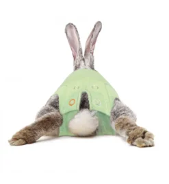 Medical Pet Shirt (Konijn) -Huisdierproducten Winkel medical pet shirt konijn groen 2
