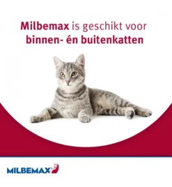 Milbemax Grote Kat -Huisdierproducten Winkel milbemax grote kat 3