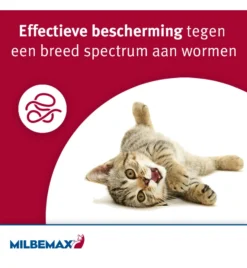 Milbemax Kleine Kat / Kitten -Huisdierproducten Winkel milbemax kleine kat kitten 1