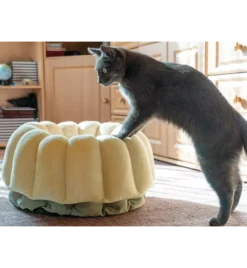 Petlando Ligmand Kat Vienna -Huisdierproducten Winkel petlando ligmand kat vienna 1 2