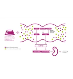 Porus One - 30 X 500 Mg -Huisdierproducten Winkel porus one 30 x 500 mg 3