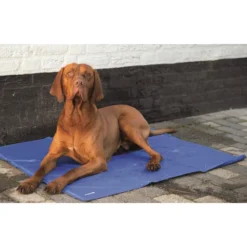 Beeztees Quick Cooler Koelmat IZI Blauw -Huisdierproducten Winkel quick cooler koelmat izi blauw 1 2