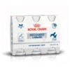 Royal Canin Recovery Liquid - 3 X 200 Ml