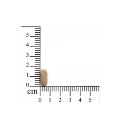 Sensipharm Urologist Aid - 1000 Mg - 180 Tabletten -Huisdierproducten Winkel sensipharm urologist aid 1000 mg 180 tabletten 2