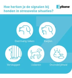 Vetoquinol Zylkène 75 Mg Capsules (- 10 Kg) -Huisdierproducten Winkel zylkene 75 mg capsules 3