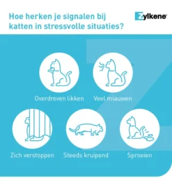 Vetoquinol Zylkène 75 Mg Capsules (- 10 Kg) -Huisdierproducten Winkel zylkene 75 mg capsules 4